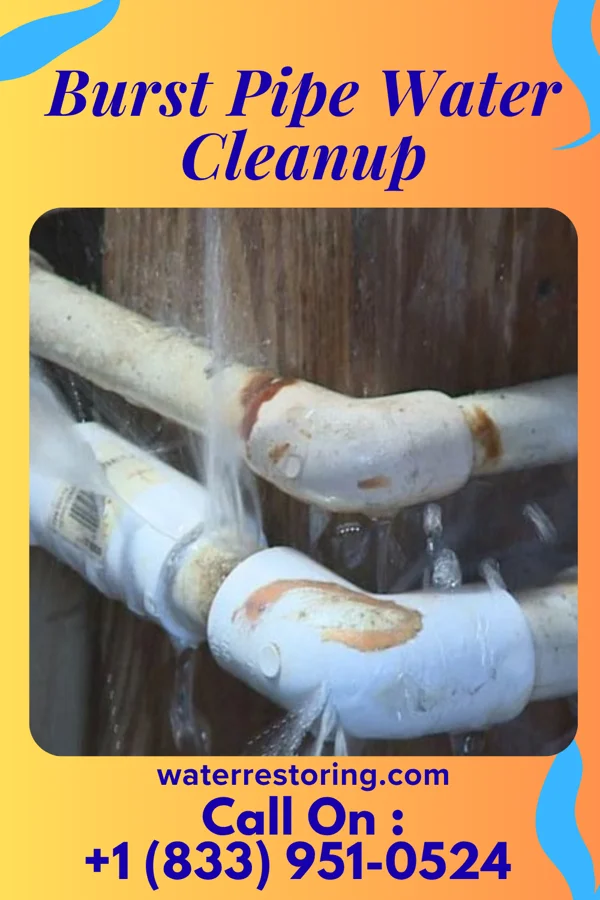 Burst Pipe Water Cleanup in Piney Mountain, VA