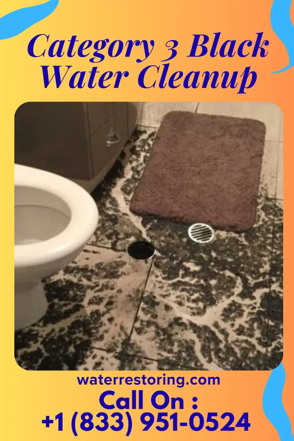 Category 3 Black Water Cleanup in Piney Mountain, VA