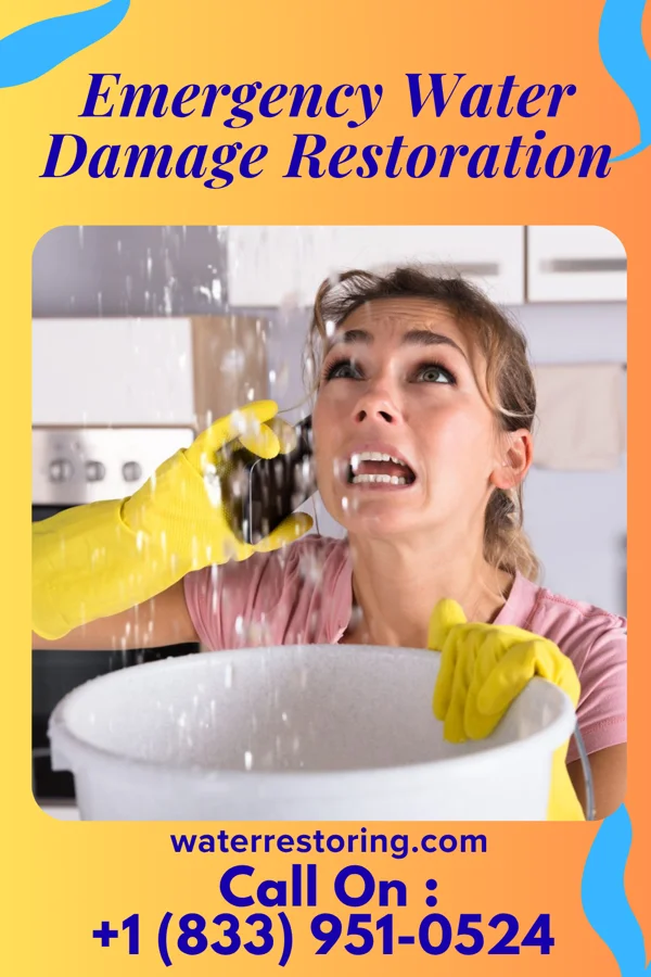 Emergency Water Damage Restoration in Piney Mountain, VA