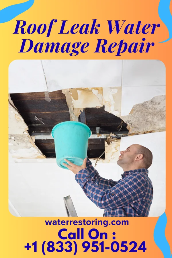 Roof Leak Water Damage Repair in Piney Mountain, VA