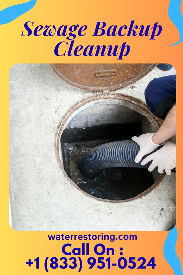 Sewage Backup Cleanup in Piney Mountain, VA