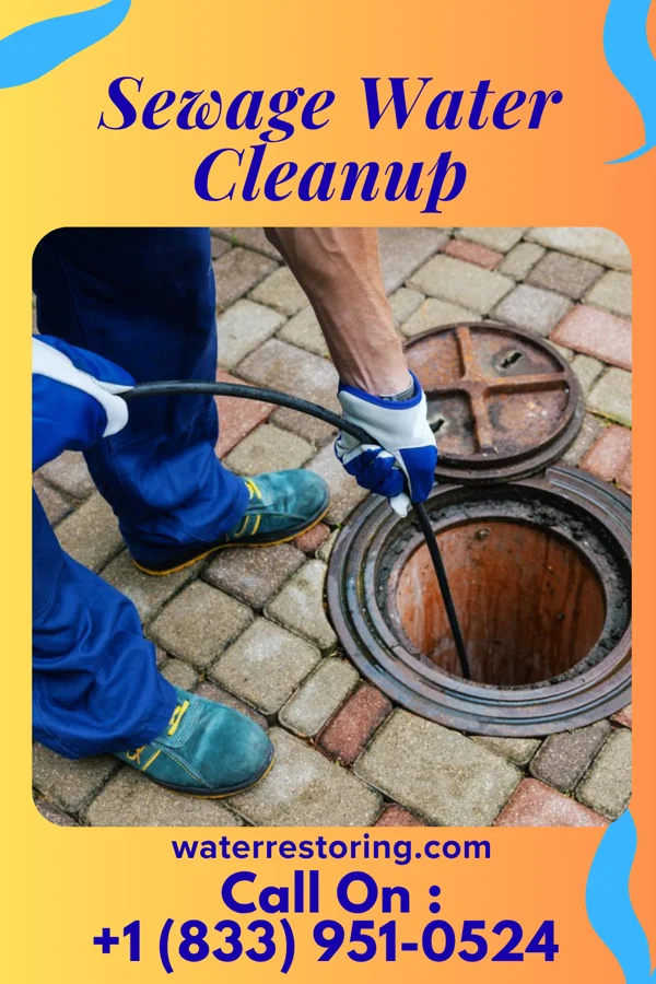 Sewage Water Cleanup in Piney Mountain, VA